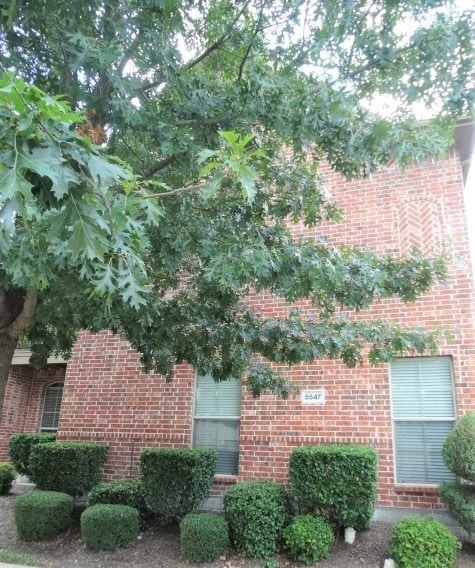 Photo - 5547 Cecina Dr