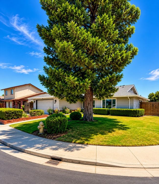 Photo - 708 Meadow Way