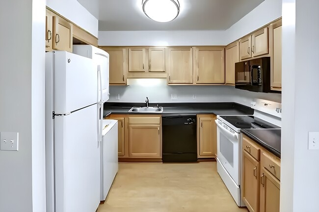 Photo - Court Royale