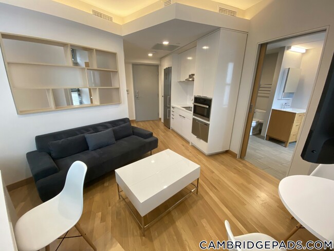 Building Photo - 115 Mt Auburn St Rental