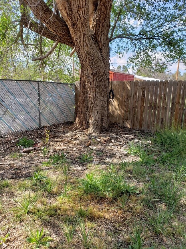 Photo - 1016 W 14th St