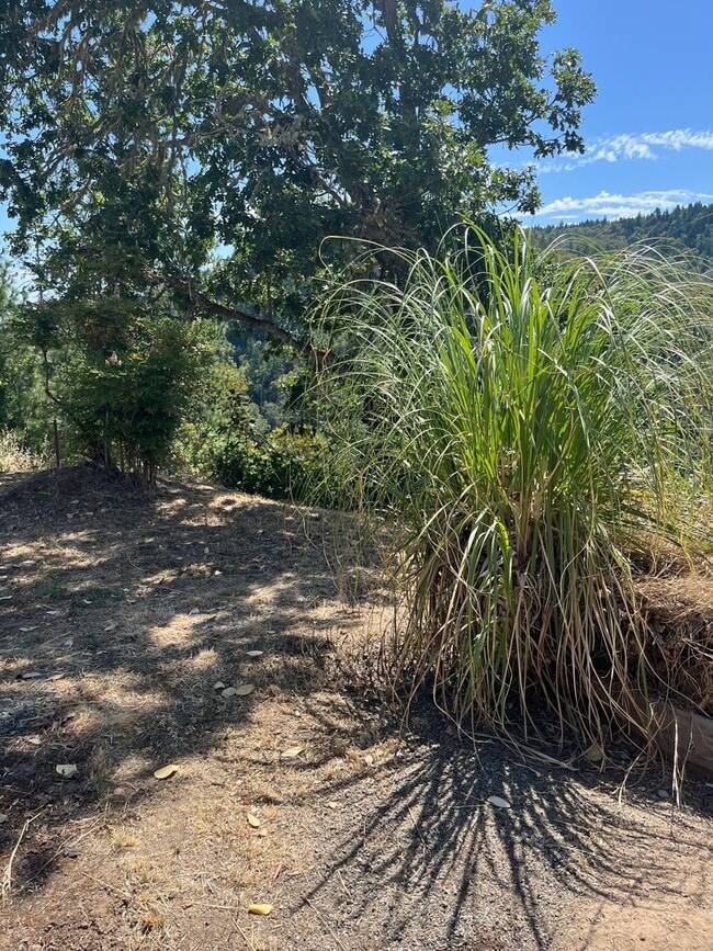 Photo - 1267 Yokum Rd