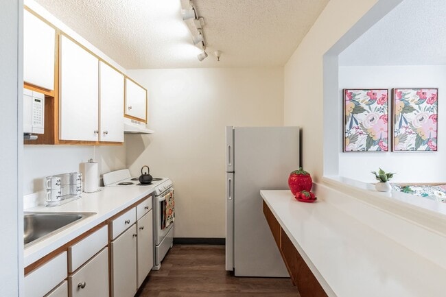 Vivo Living Charlotte University