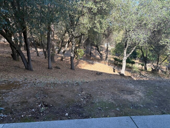 Photo - Willow View Apartments