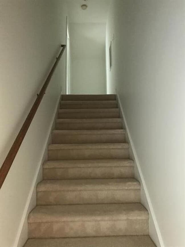 Photo - Carolina Lakes!!