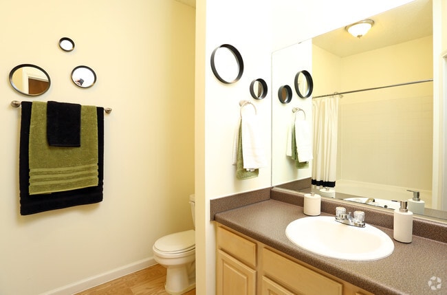 Baño - Steeplechase on Maple