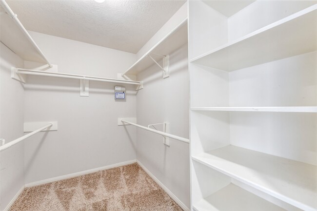 Building Photo - 317 Vantage Pointe Cir