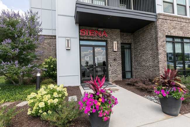 Siena Suwanee Town Center
