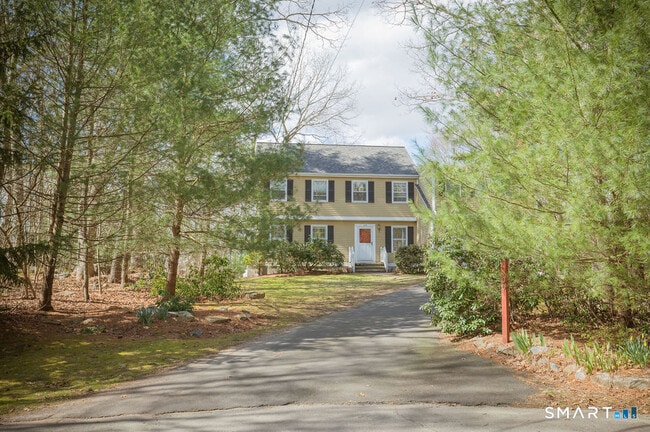 100 White Birch Dr