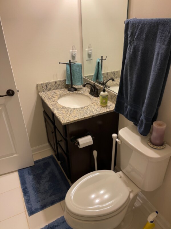 Photo - 25989 Braided Mane Ter