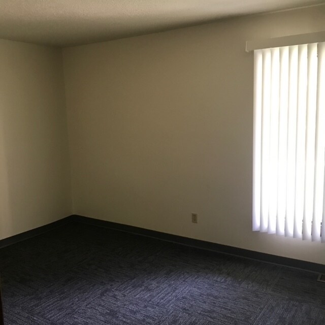 Photo - The Villa Apartments