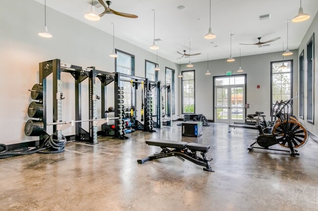 Gimnasio completamente equipado con máquinas de entrenamiento cardiovascular y pesas.