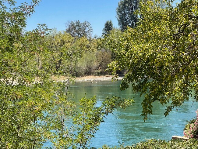 Photo - Sacramento Riverfront Home with Pool