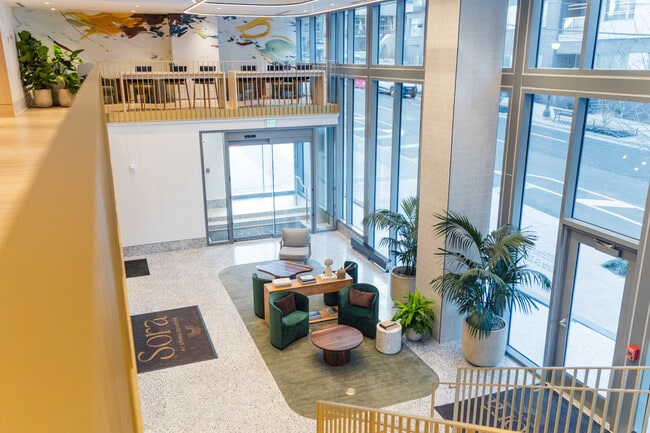 Photo - Sora at Spring Quarter