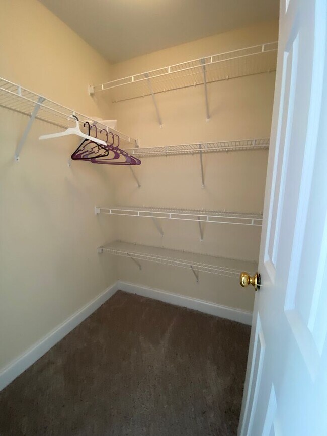 Fully Furnished (or not) in Hampton Forest! Townhome Townhome Rental in Columbia SC