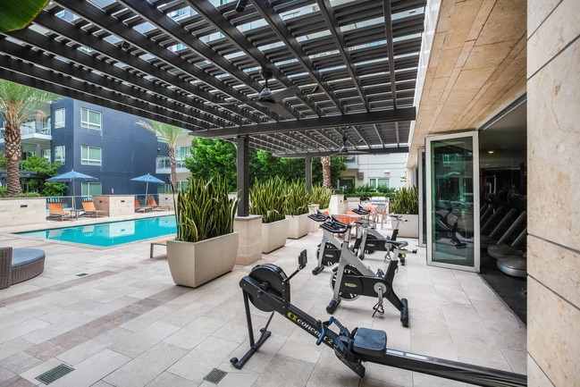 Spin bikes with a pool view