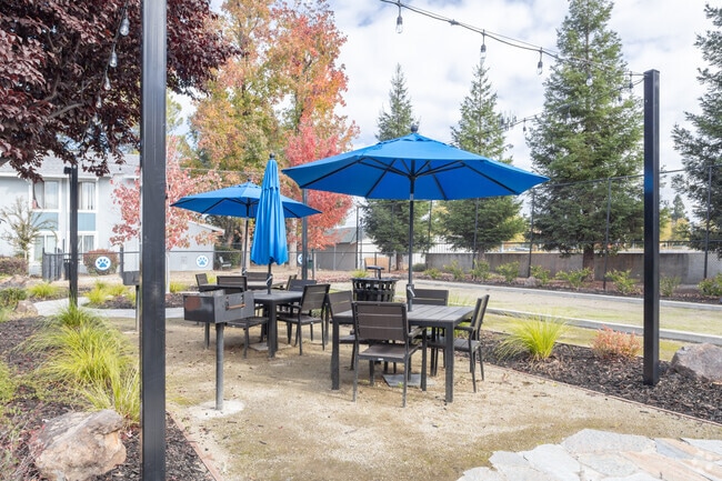 Patio - The Everette