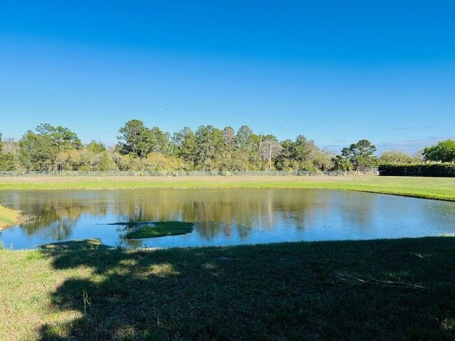 Photo - 2 Bedroom UCF Duplex
