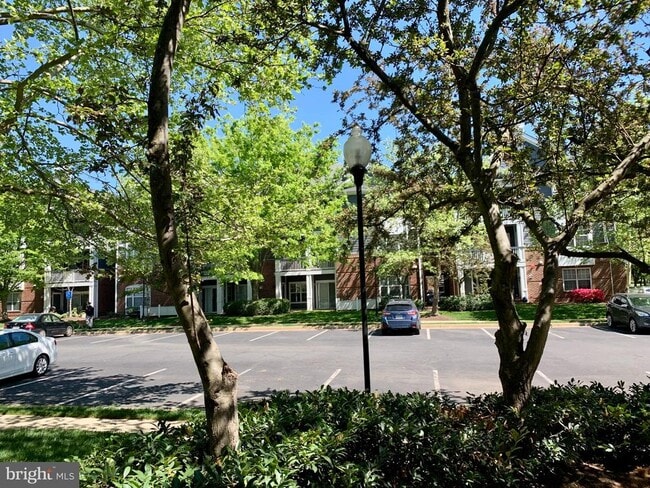 Photo - 20301 Beechwood Terrace Unit 201