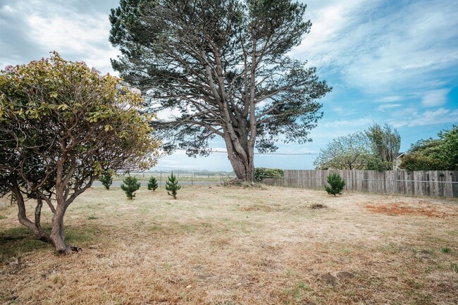 Photo - 3 Bedroom 1 Bathroom Single Family McKinleyville Home