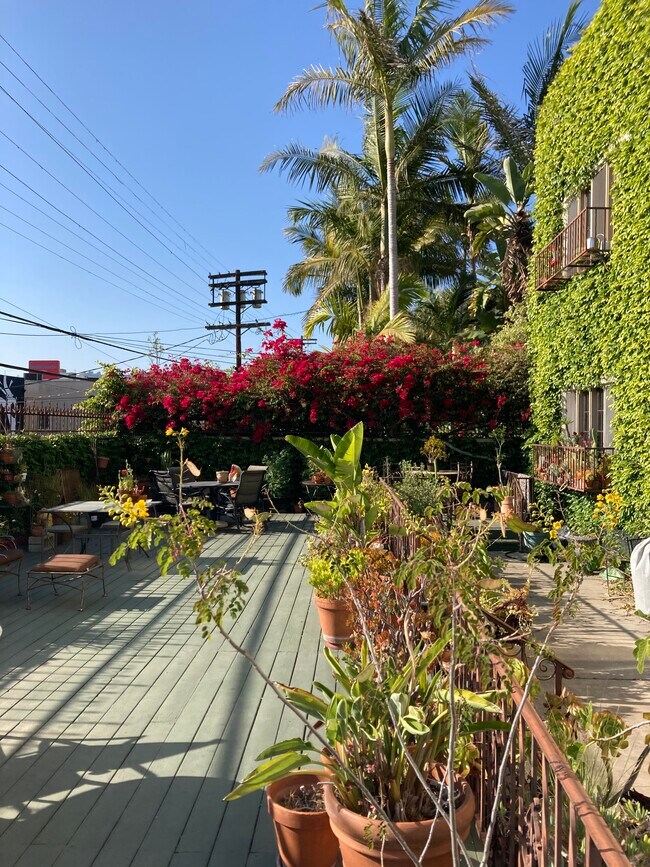 Photo - 425 N Sycamore Ave Unit 4