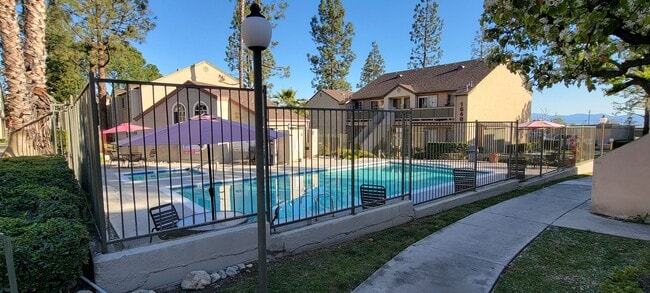Piscina cerrada, spa y solárium rodeados de exuberantes jardines y árboles en Northwood Apartments en Upland, California.