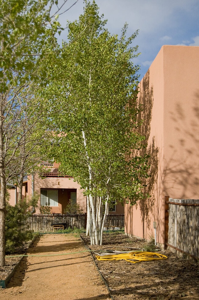 Photo - Loma Parda 55+