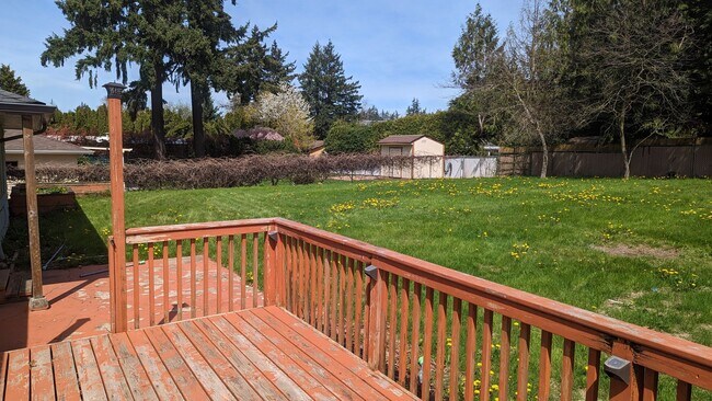 Spacious Three Bedroom with Large - Image