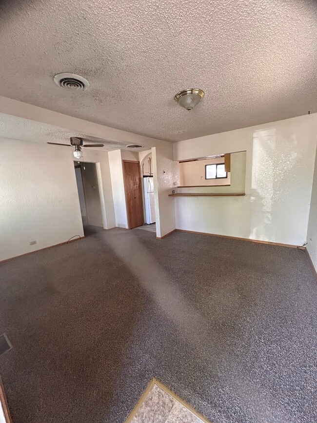 Photo - 808 Avocado St