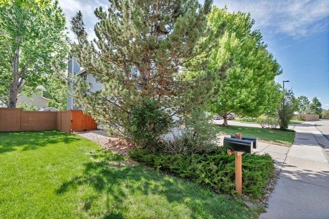 Photo - Spacious Home in Castle Rock