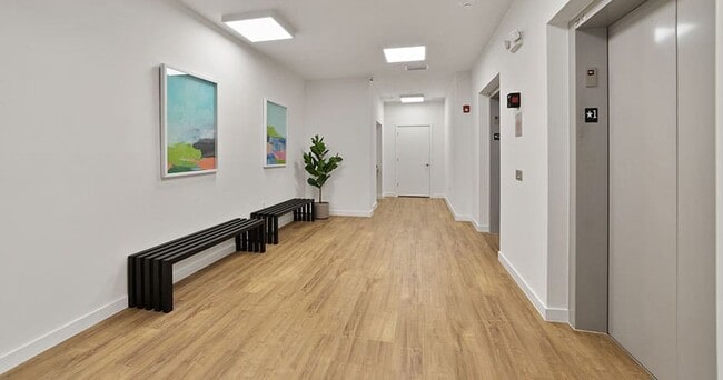 The Corridor