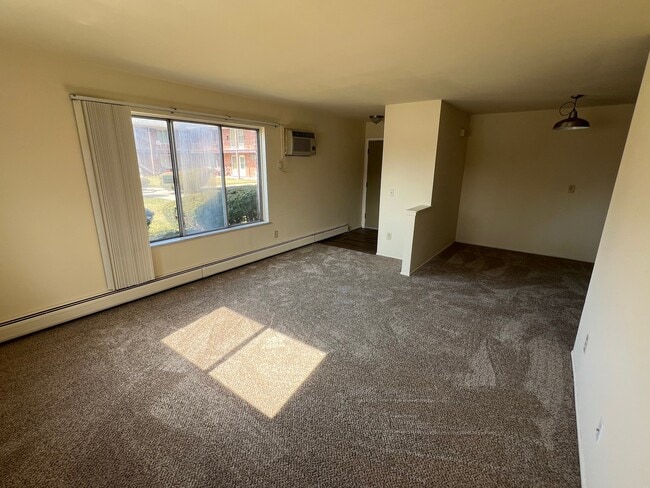 Photo - Continental Garden