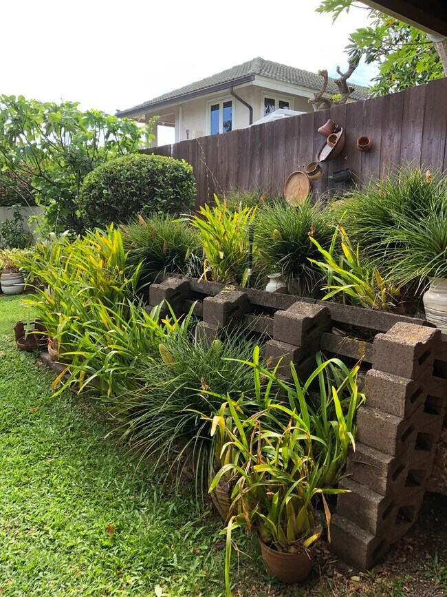 COZY 1/1/1 COTTAGE LOCATED LOWERMANOA BY Rental House Rental in Honolulu, HI