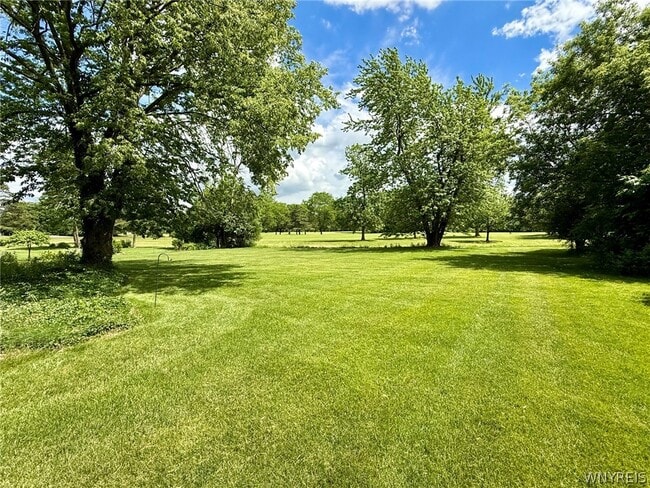 Photo - 5125 Forest Rd