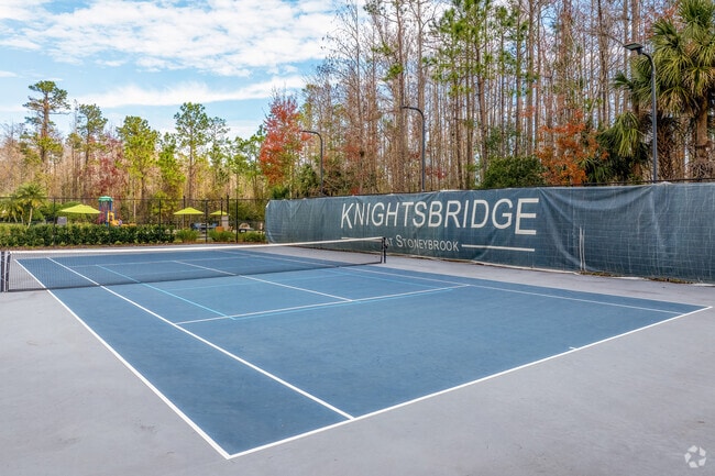 Pickleball Court