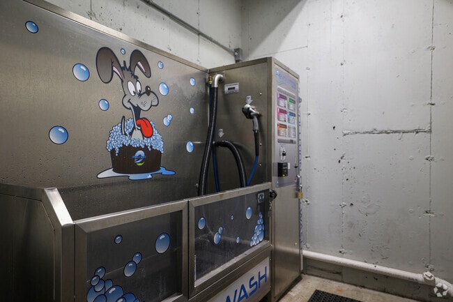 Dog Wash Station