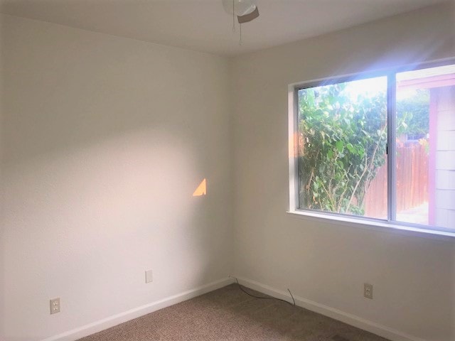 Photo - 10023 Humite Ln