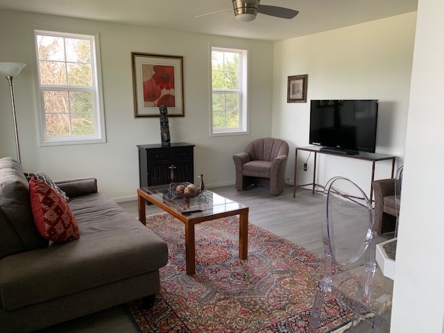 Living room - 2065 Libertyville Rd Unit W4