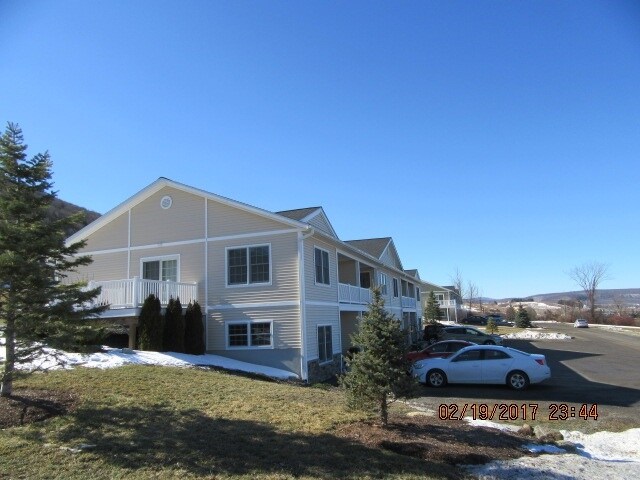 Photo - Donat's Brow