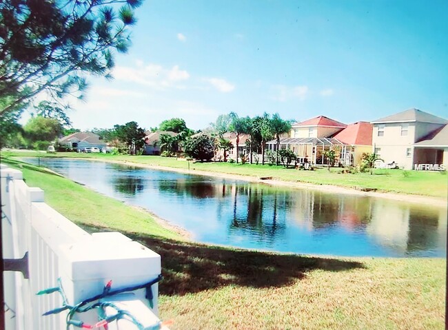 Back view of the pond