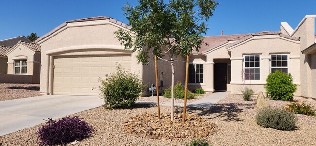 Building Photo - 2 bed 2 bath Franklin patio home in Sun City Anthem!