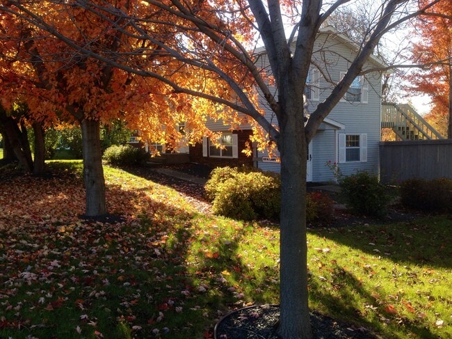 Photo - 933 Campbell St N Townhome