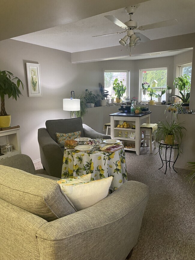 Photo - 939 Mt Bulman Dr