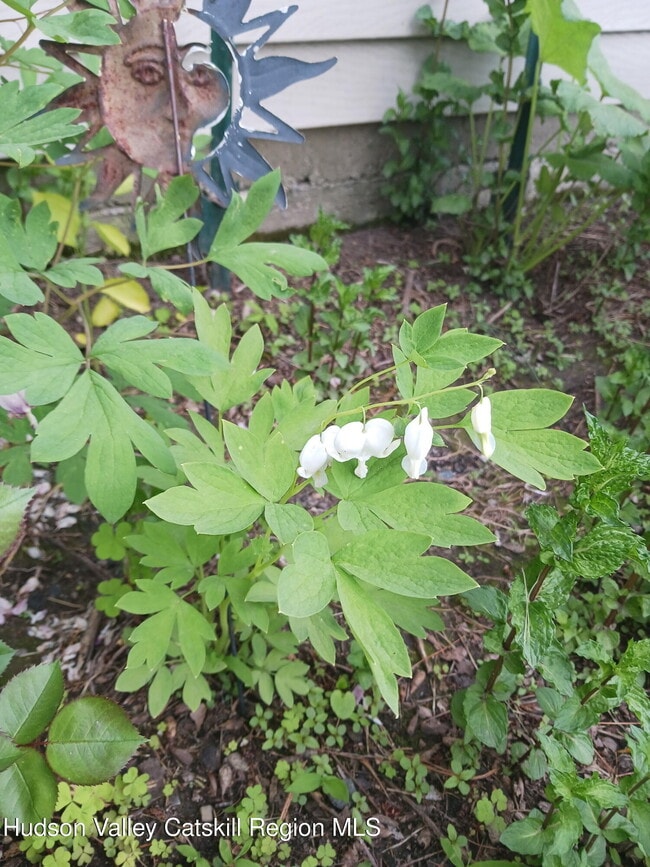 Photo - 540 Lakeview Terrace