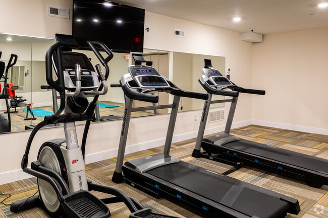 Gimnasio - The View at Manayunk Apartments