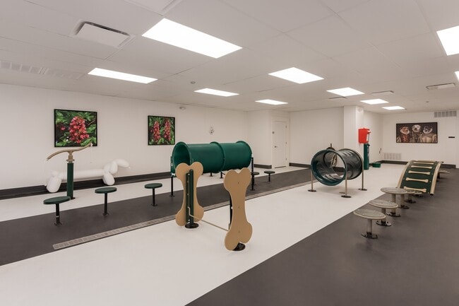 Photo - Fox and Hounds