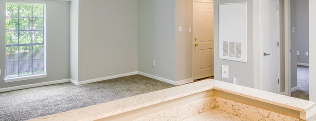 Photo - Carmel Brook