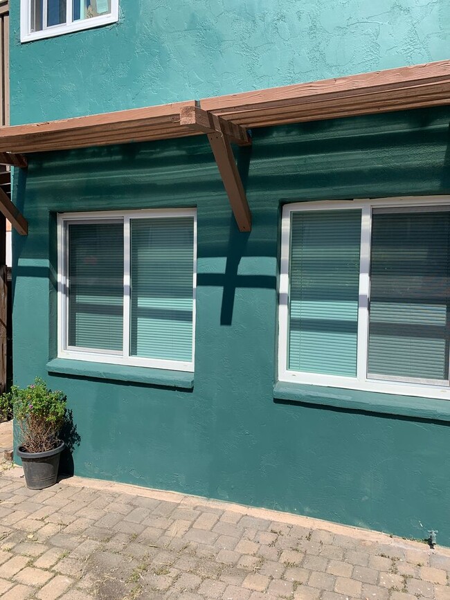 Photo - Curlew Unidad 02