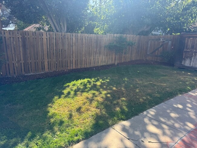 backyard - 1360 Granada Ave