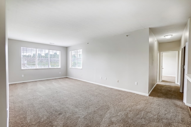 005[1].jpg
